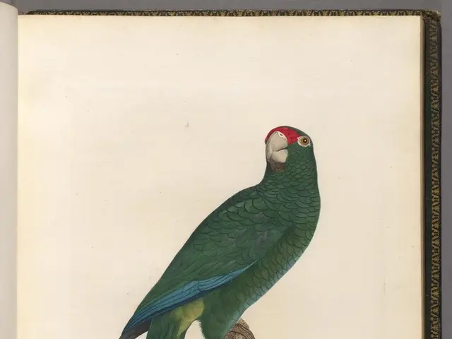 Competition Particulars: Essential Information About the Upcoming Event